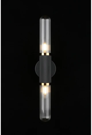 Бра Aployt Brynia APL.307.31.02 (220V, круглые)