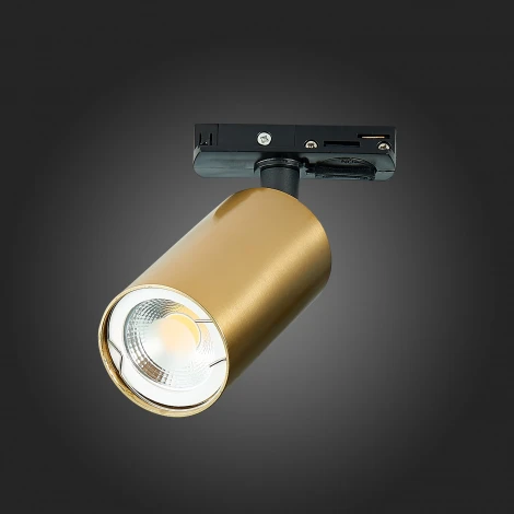 Трековый светильник ST Luce St300 ST300.206.01 (220V, круглые)