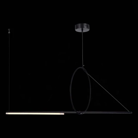 Подвесной светильник ST Luce Gaia SL6113.403.01 (LED, 220V, на тросе)