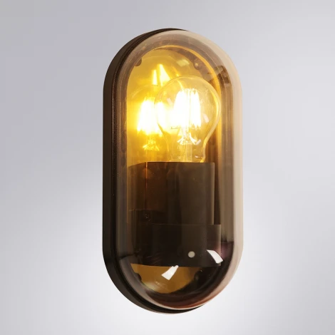 Настенный уличный светильник Arte Lamp A2481AL-1GO (220V, IP65)