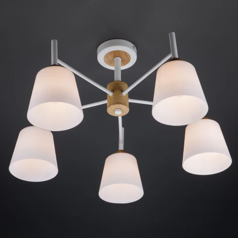 Потолочная люстра Eurosvet Fresco 70085/5 белый (220V)