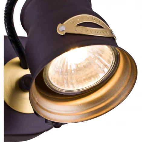 Спот Maytoni Borgo SP315-CW-02-BR
