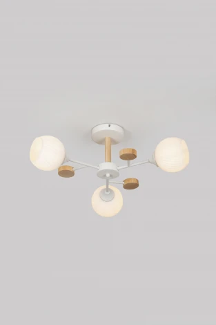 Потолочная люстра на штанге Rivoli Chiara 9180-303