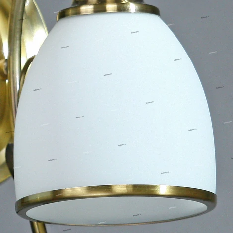 Brizzi Tarragona MA02640W/002 Bronze