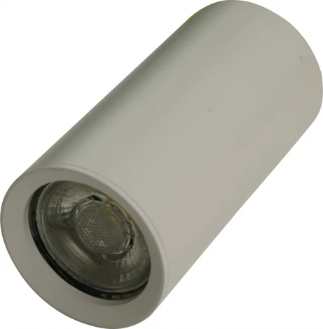 Накладной светильник Brizzi Aras BR08093