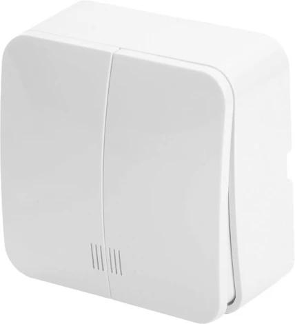 Выключатель двухклавишный с подсветкой (белый) Stekker София 49290