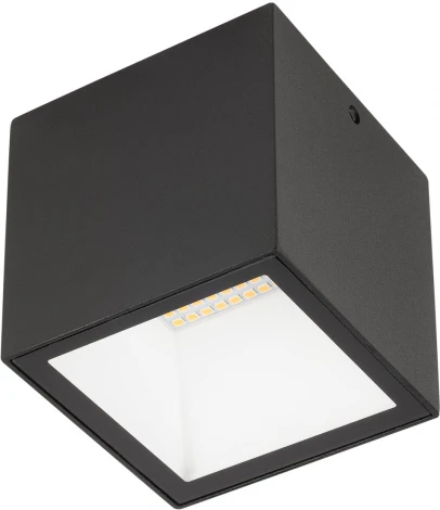 Потолочный светильник уличный светодиодный Oasis Light TUBE LED W3891-3K Bl