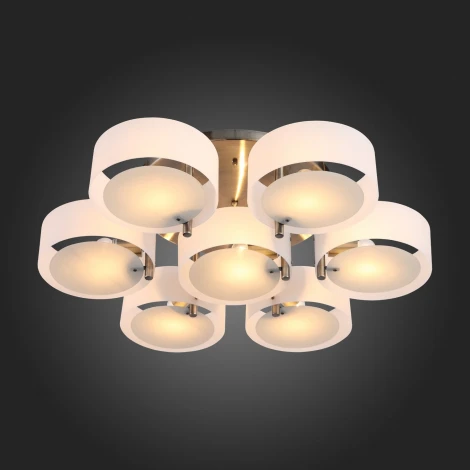 Потолочная люстра ST Luce Foresta SL483.352.07