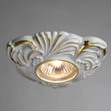 Встраиваемый точечный светильник Arte Lamp Occhio A5285PL-1SG (220V)