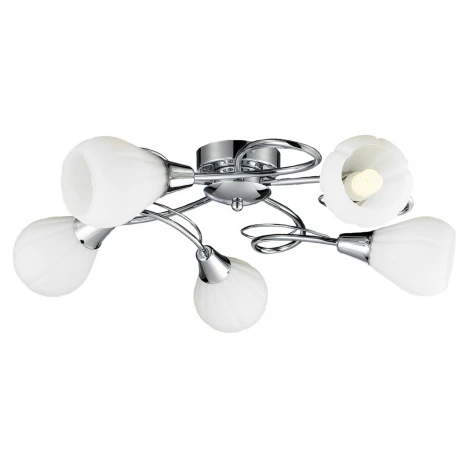 Потолочная люстра Lussole Abriola LSC-8303-05