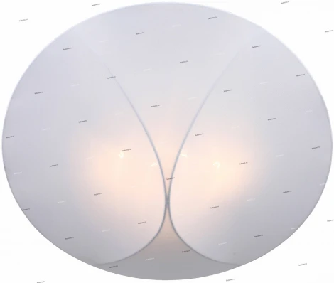 Потолочный светильник ST Luce Tonico SL360.552.04