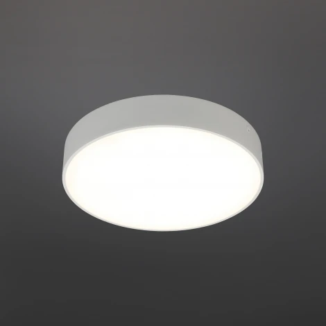 Потолочный светильник круглый Aployt Evon APL.0114.09.24 (LED, 220V, круглые)