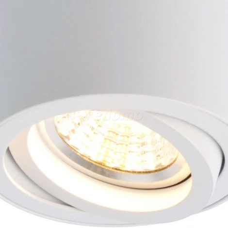 Накладной точечный светильник Arte Lamp Sentry A1560PL-1WH (220V)