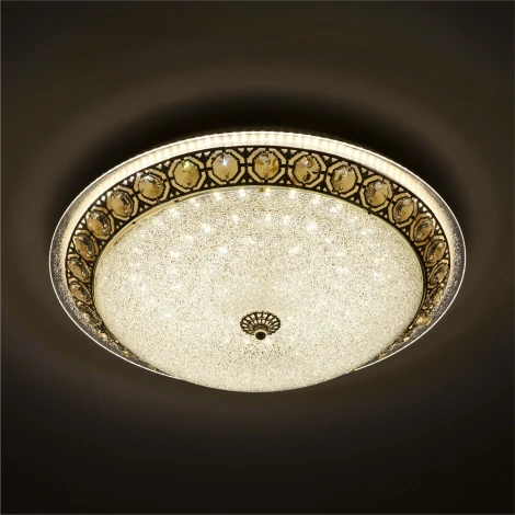 Потолочный светильник светодиодный с пультом с регулировкой цветовой температуры и яркости LED4U LED4U L1110-500 GD