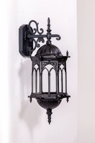 Настенный фонарь уличный Oasis Light DELI L 89902L/08 Bl