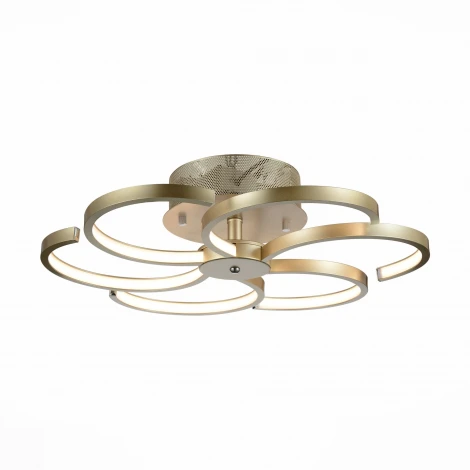Потолочная люстра ST Luce Riccioli SL906.203.06