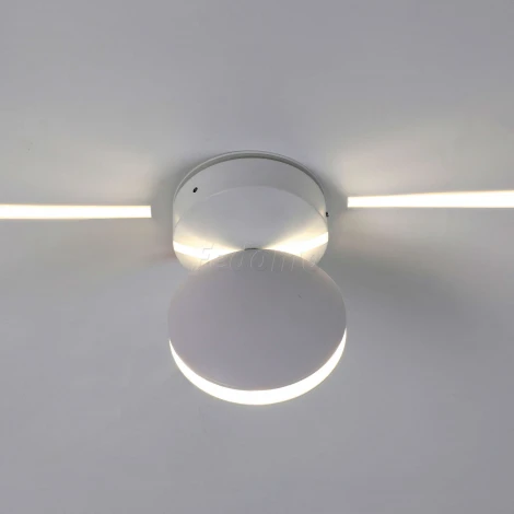 Архитектурная подсветка Favourite Collare 2000-1W