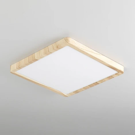 Настенно-потолочный светильник Citilux Бейсик CL738K242V (регулировка яркости, LED, 220V, IP40)