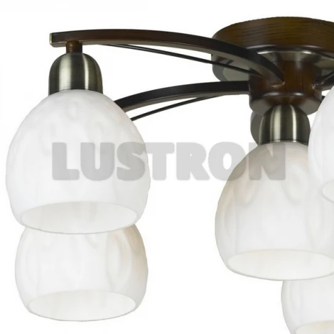 Потолочная люстра Lussole Mores LSL-8807-06