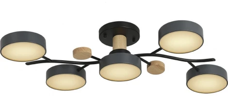 Потолочная люстра светодиодная на штанге с ДУ Ritter Scandia 52080 1