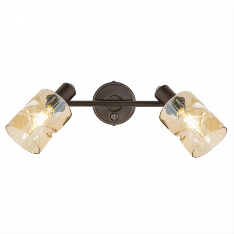 Спот на штанге Citilux Кингстон CL518520 (220V, выключатель)