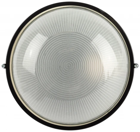 Настенно-потолочный светильник ЭРА НБП 03-60-001 в инд. упаковке НБП 03-60-001 черный