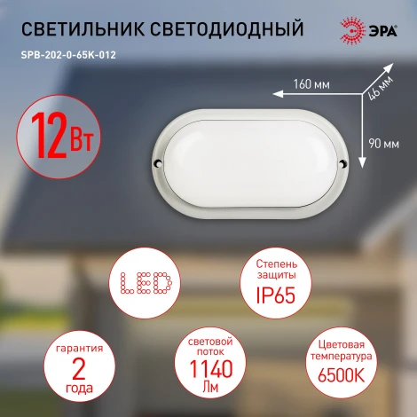 Настенно-потолочный светильник светодиодный ЭРА SPB-202-0-65K-012 (220V, IP65)