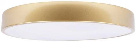 Потолочные светильники Loft It Flims 10228/A (LED, 220V, круглые)