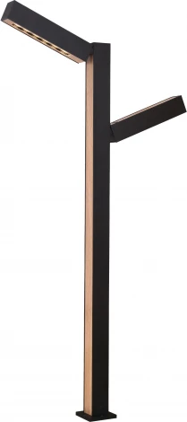 Наземный уличный светильник Favourite Stolpe 4388-2F (LED, 220V, IP54)