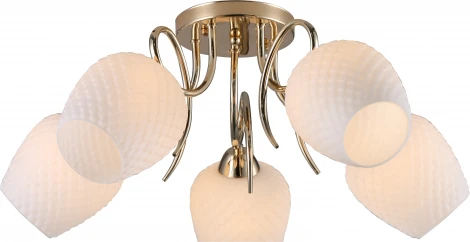 Потолочная люстра Rivoli Ofelia 9084-305