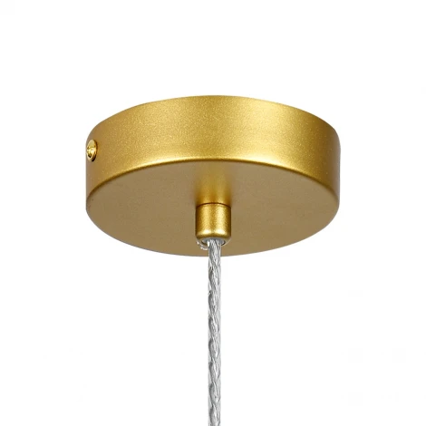 Подвесной светильник Indigo Grazia 11070/1P Clear