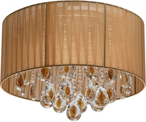 Потолочная люстра MW-Light Жаклин 465016704