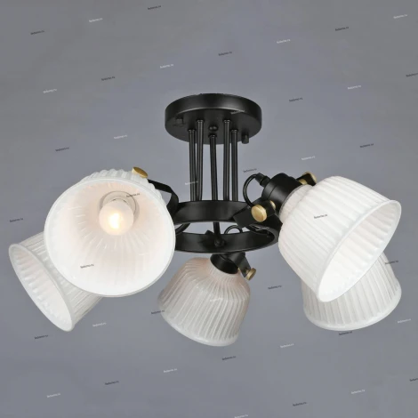 Потолочная люстра Omnilux Zamora OML-28207-05