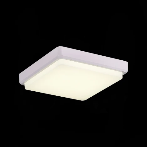 Потолочный светильник Evoluce Taddio SLE200212-01 (LED, 220V)