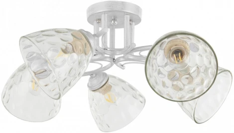 Потолочная люстра на штанге Arte Milano Napoli-6820 338756/5 WT+SL (220V)