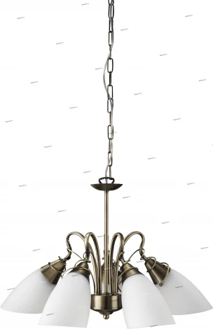 Massive Egmo 37721-06-10