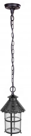 Уличный светильник подвесной Oasis Light CAIOR 1 81505 Bl (220V, на цепи, фонарь, IP44)