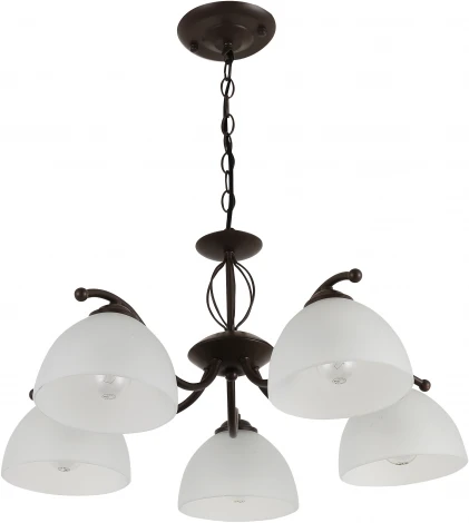Подвесная люстра Rivoli Jackeline 9141-305 (220V, на цепи)
