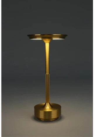 Настольная лампа светодиодная Omnilux OML-40414-01 (220V)