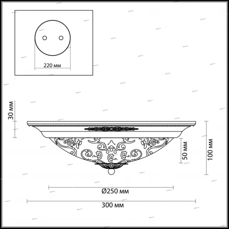 Настенно-потолочный светильник Odeon Light Corbea 2671/2C