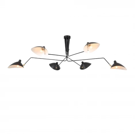 Потолочная люстра ST Luce Spruzzo SL305.402.06 (220V)