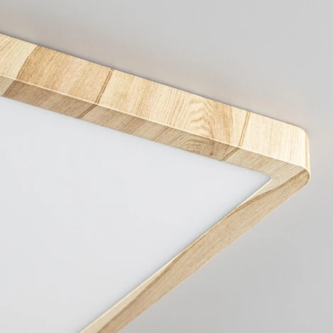 Настенно-потолочный светильник Citilux Бейсик CL738K242V (регулировка яркости, LED, 220V, IP40)