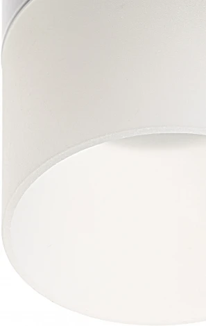 Накладной светильник Ritter Essen 52059 7