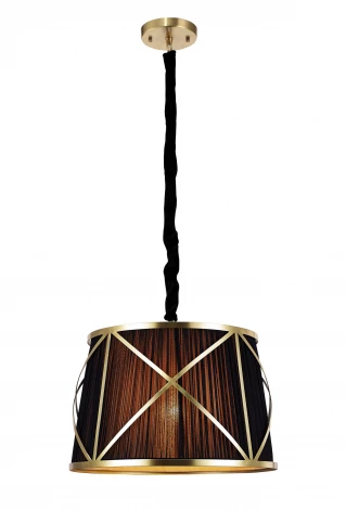 Подвесной светильник Arte Lamp Vitruvio A2805SP-1BK