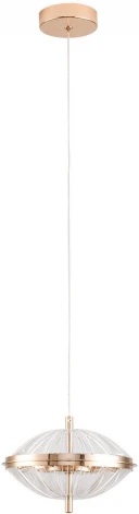 Подвесной светильник Arte Lamp Andromeda A2089SP-6GO (LED, 220V, на проводе)