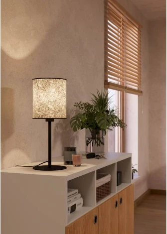 Настольная лампа Eglo Butterburn 43938 (220V, выключатель, круглые)