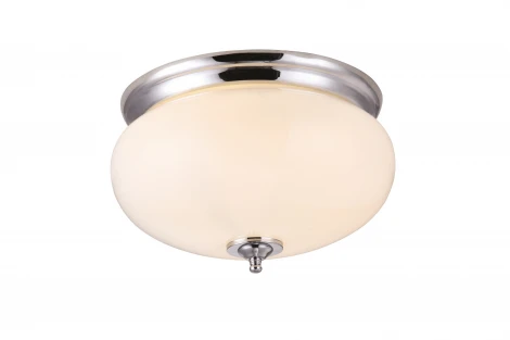 Потолочный светильник Arte Lamp Armstrong A3560PL-2CC