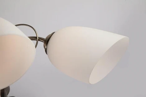 Потолочная люстра Eurosvet Stefanie 30107/5 античная бронза (220V)