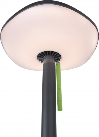 Наземный светильник светодиодный на солнечных батареях с Bluetooth-динамиком Oasis Light SOLAR P9108-2000 Gr (IP44)