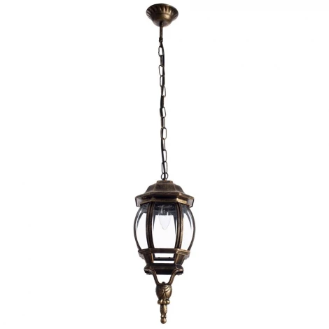 Уличный светильник подвесной Arte Lamp Atlanta A1045SO-1BN